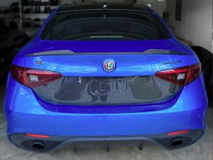 Alfa Romeo Giulia Central Back License Plate Trim Piece - Carbon Fiber Alfa Romeo Giulia Central Back License Plate Trim Piece - Carbon Fiber